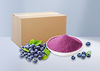 Fruit Juice Powder