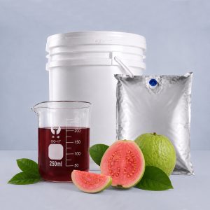 Pink Guava Juice Concentrate