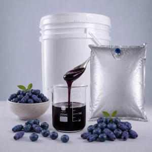 Blueberry Honeysuckle Compound Fruit Drink Syrup